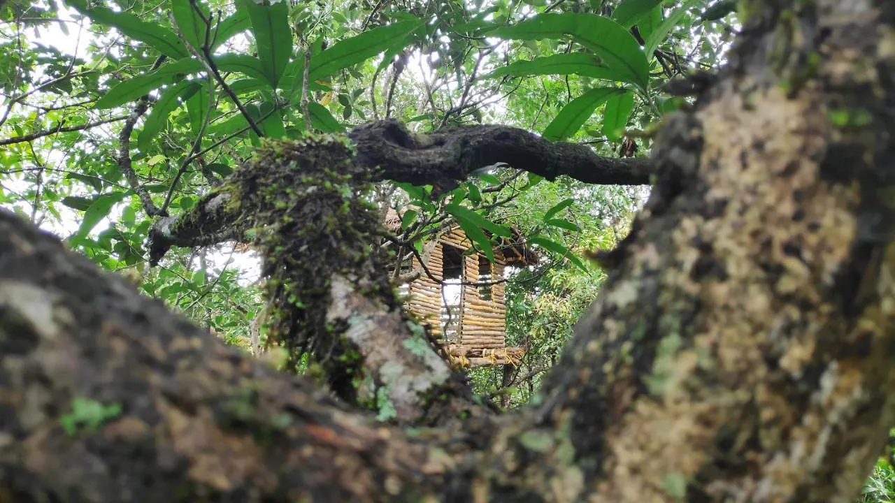 Chalet Thanal Farm Stay Vagamon